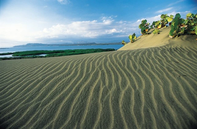 Dunes de Sable Bani